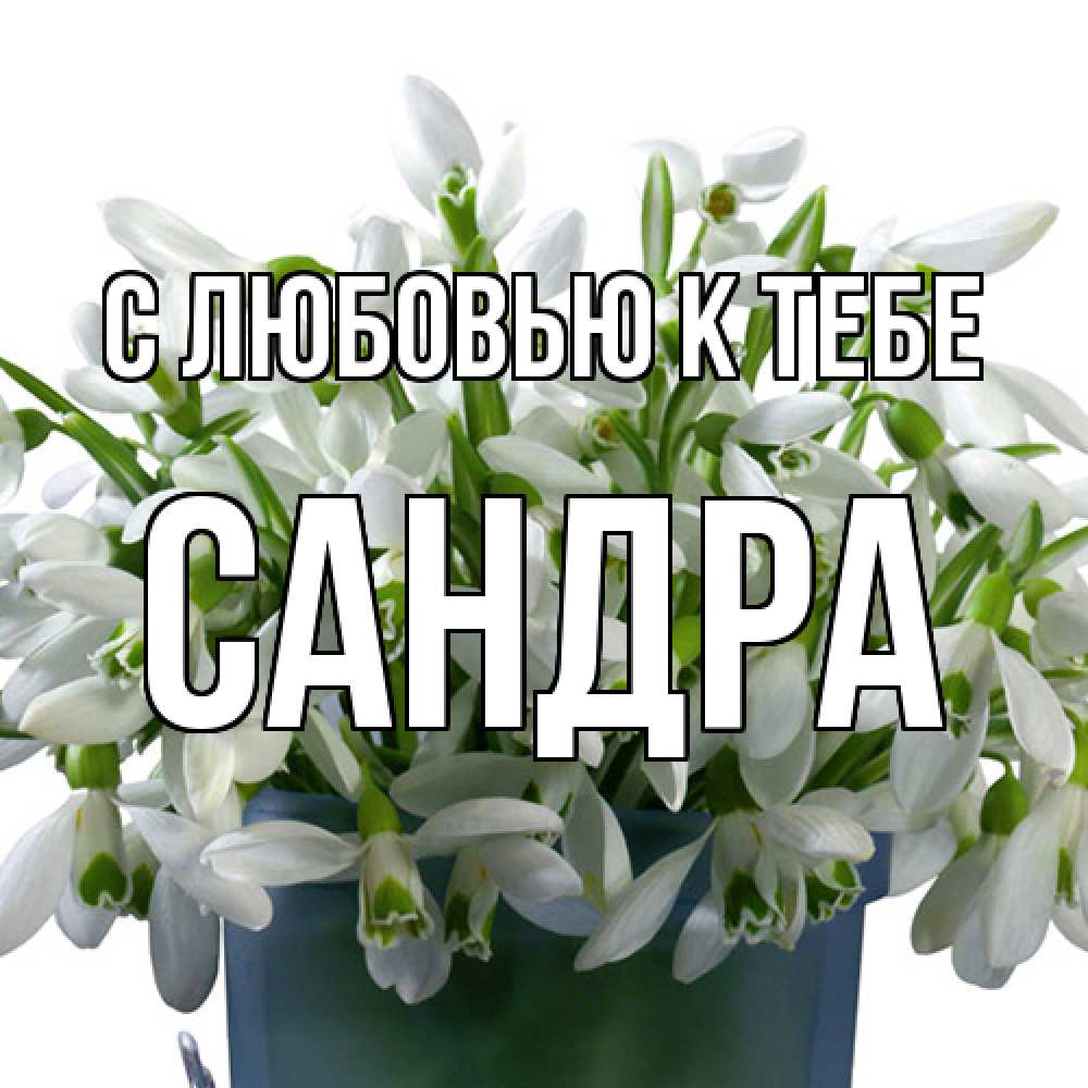 Открытка  с именем. Сандра, С любовью к тебе  