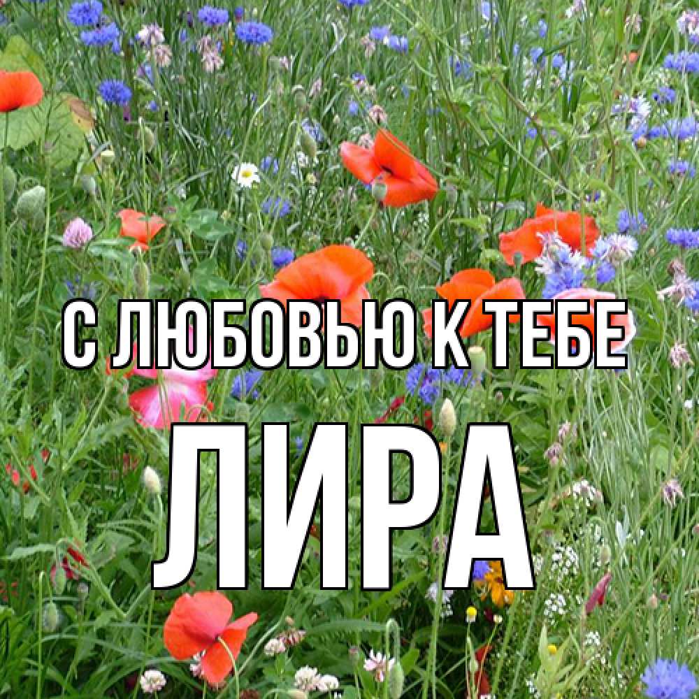 Открытка  с именем. Лира, С любовью к тебе  