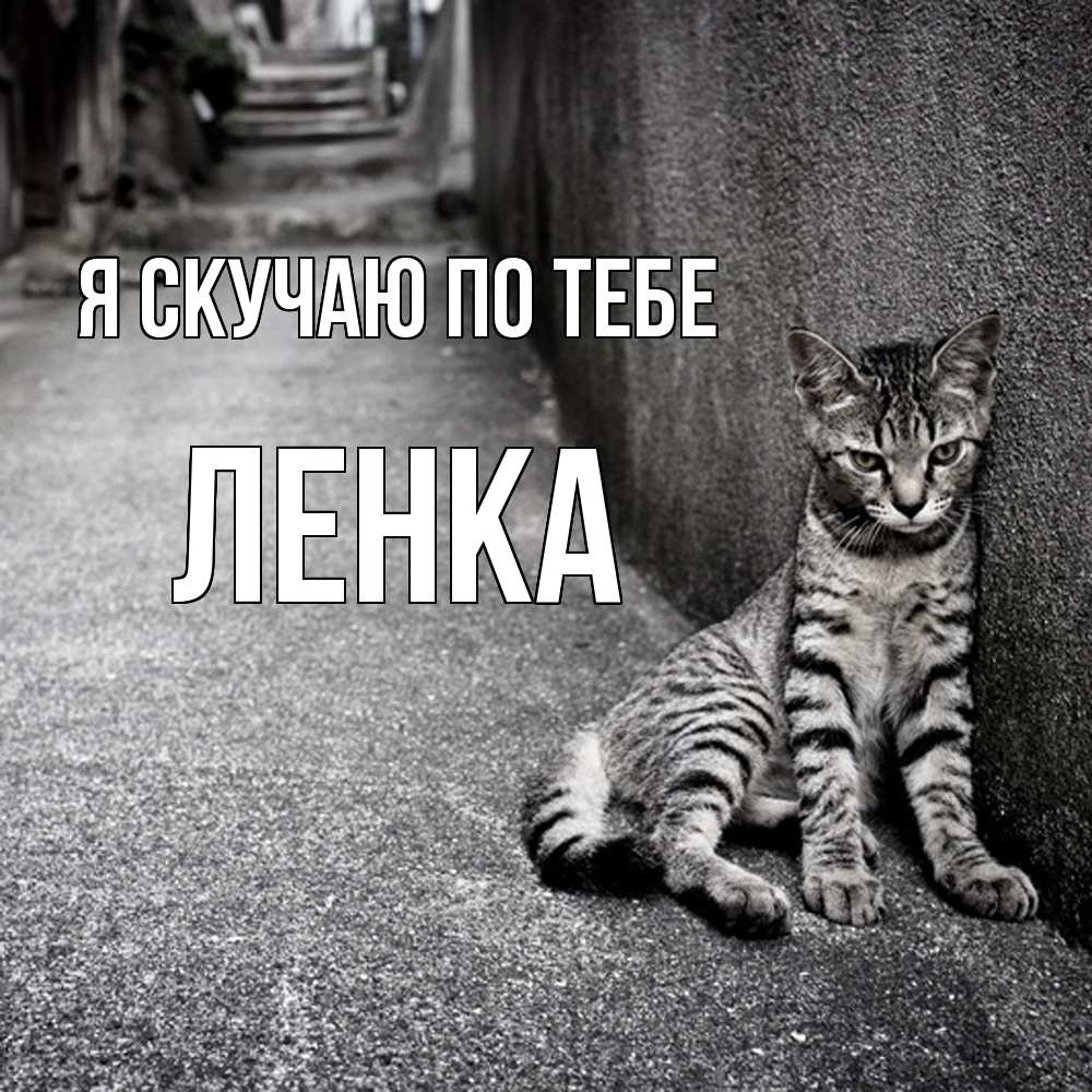 Открытка  с именем. Ленка, Я скучаю по тебе  