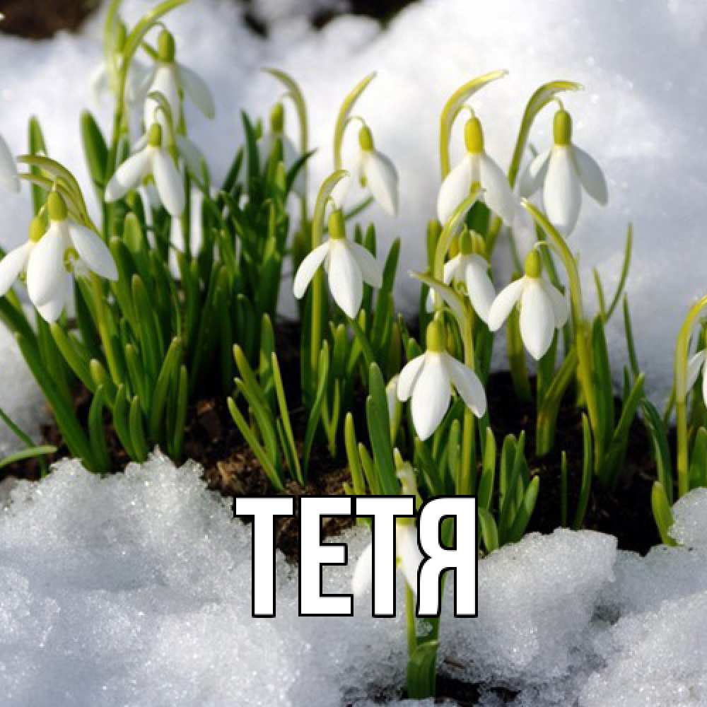 Открытка  с именем. Тетя, Главная  