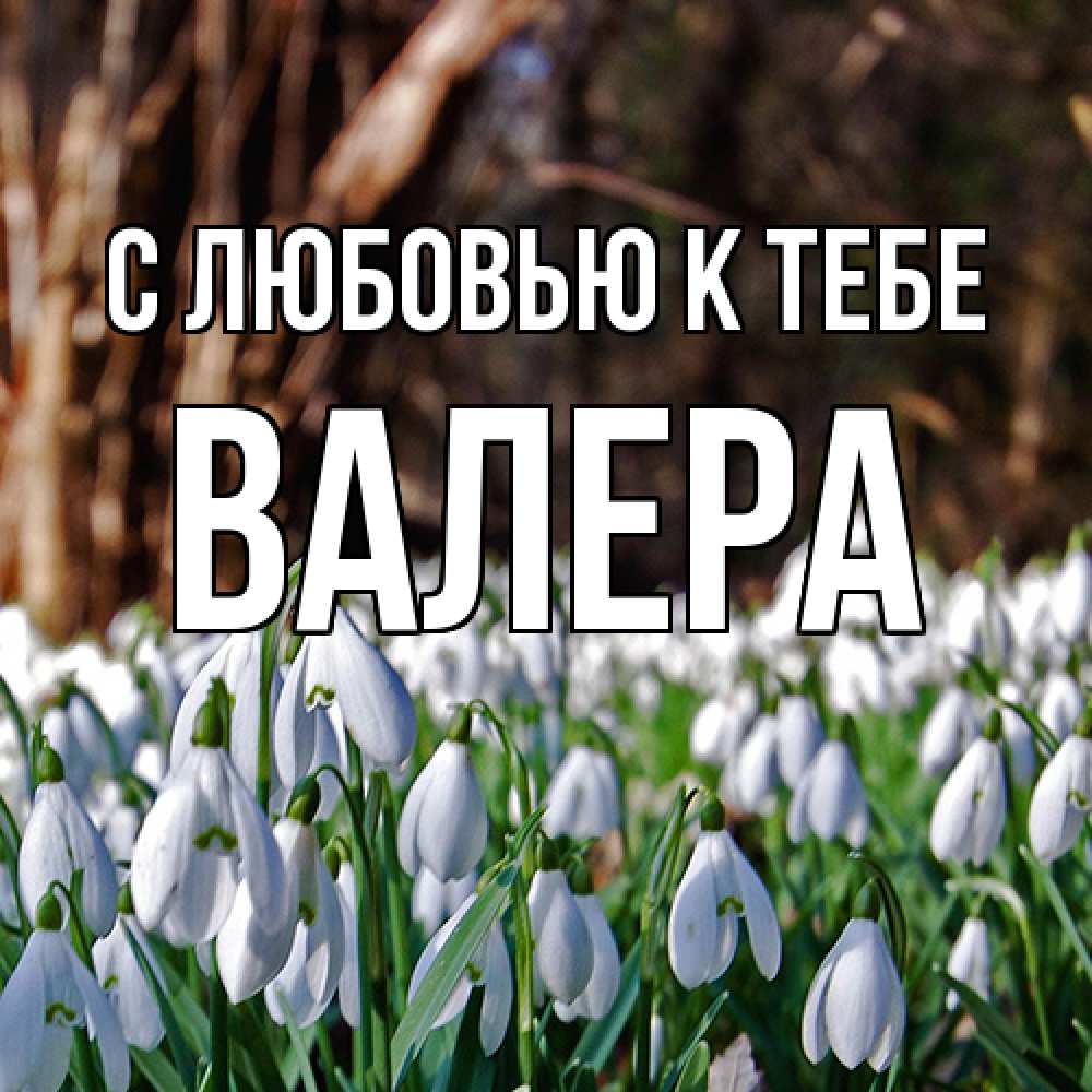 Открытка  с именем. Валера, С любовью к тебе  