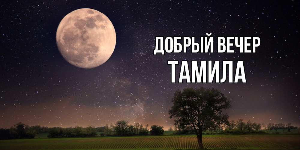 Открытка  с именем. Тамила, Добрый вечер  