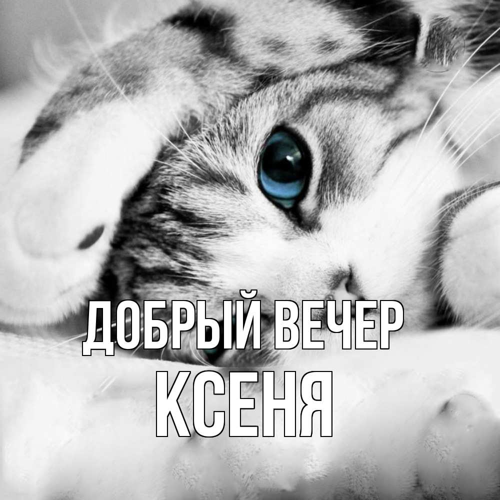 Открытка  с именем. Ксеня, Добрый вечер  