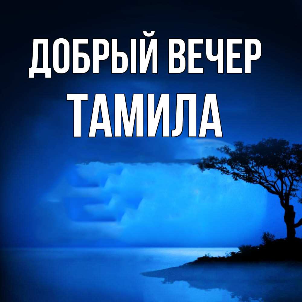 Открытка  с именем. Тамила, Добрый вечер  