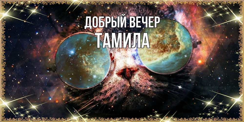 Открытка  с именем. Тамила, Добрый вечер  