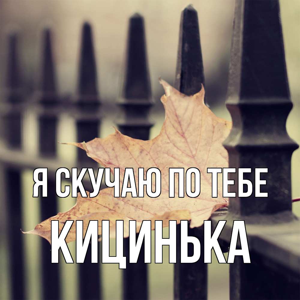 Открытка  с именем. Кицинька, Я скучаю по тебе  