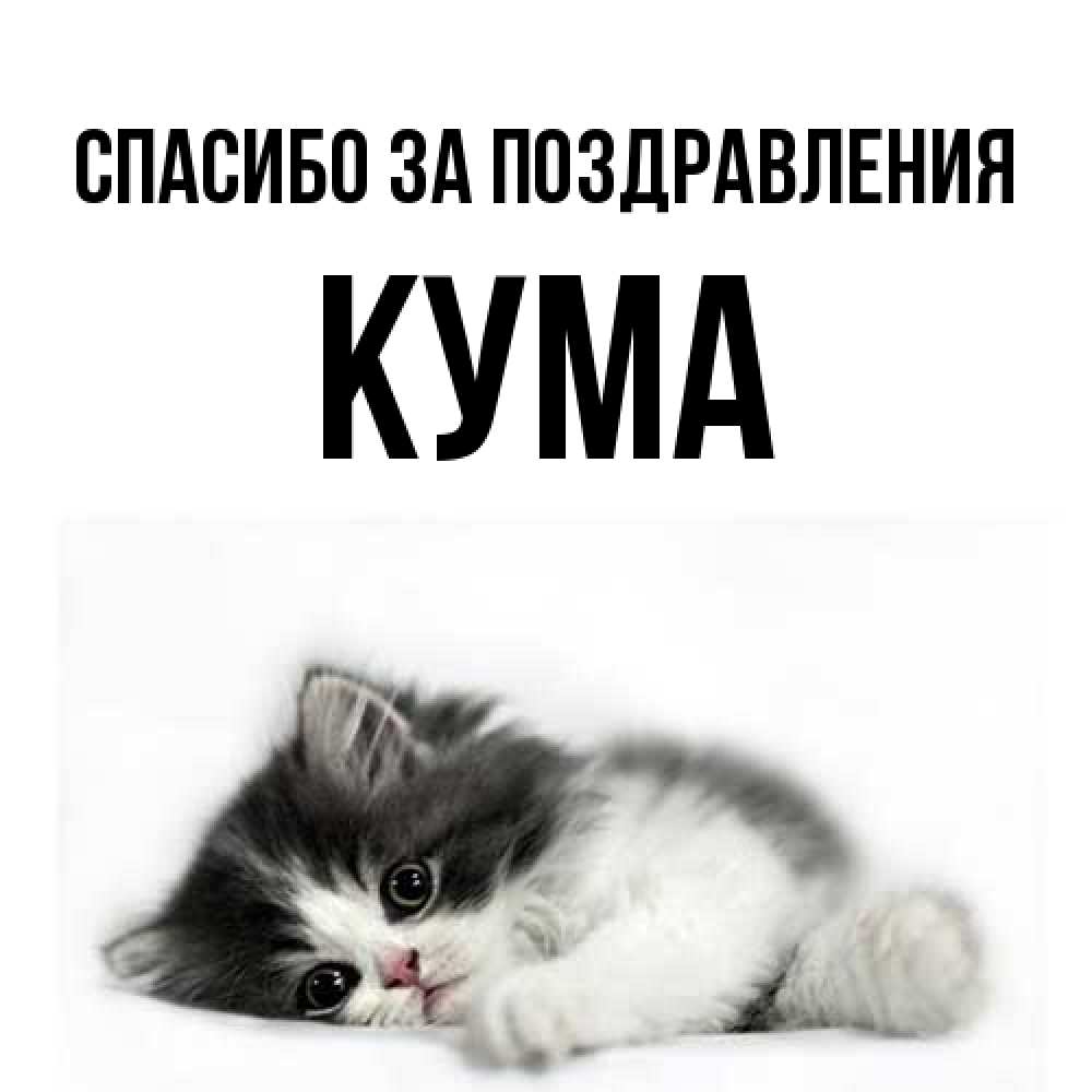 Открытка  с именем. Кума, Спасибо за поздравления  