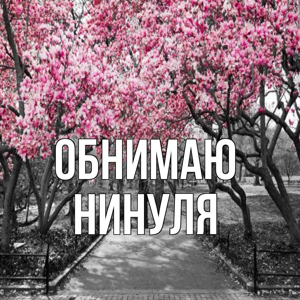 Открытка  с именем. нинуля, Обнимаю  