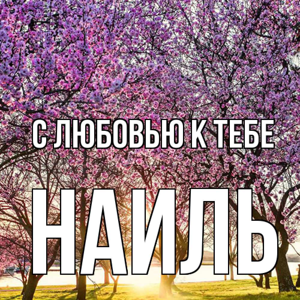 Открытка  с именем. Наиль, С любовью к тебе  