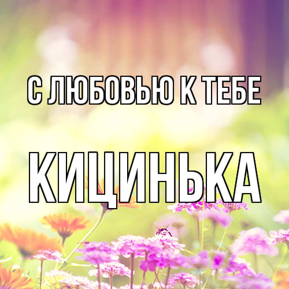 Открытка  с именем. Кицинька, С любовью к тебе  