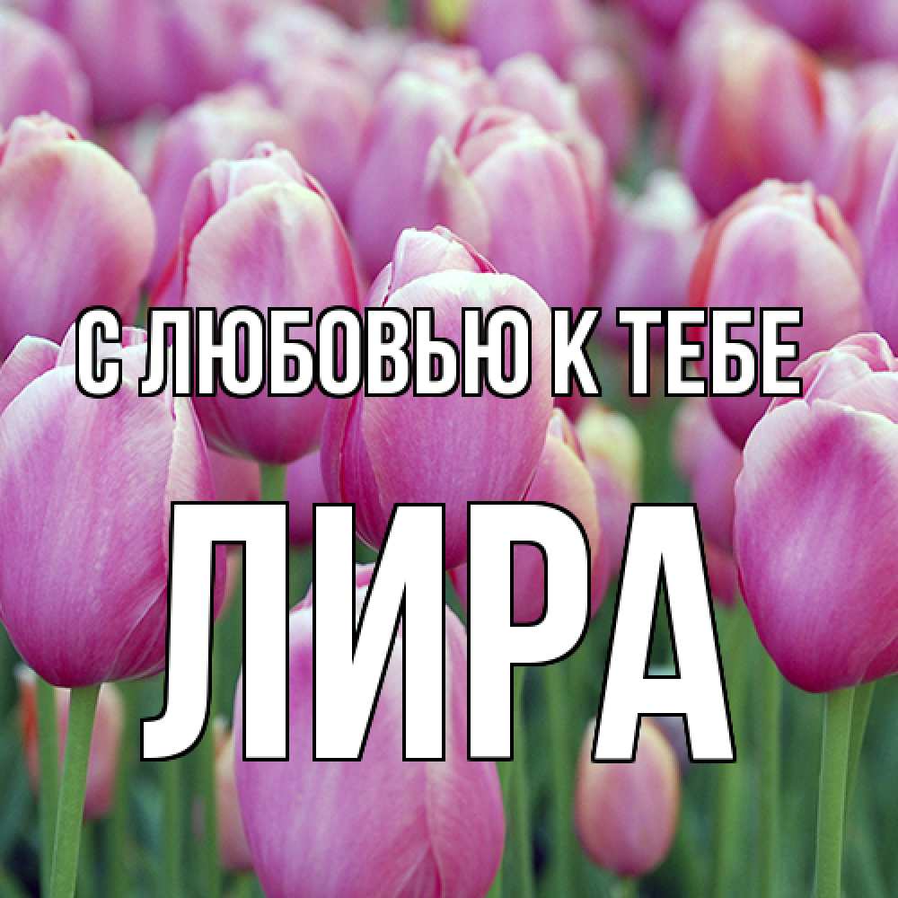 Открытка  с именем. Лира, С любовью к тебе  