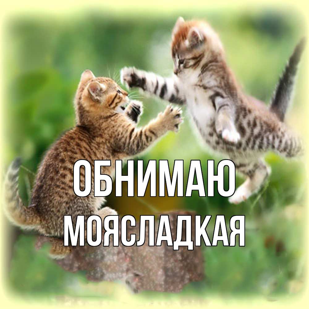 Открытка  с именем. МояСладкая, Обнимаю  