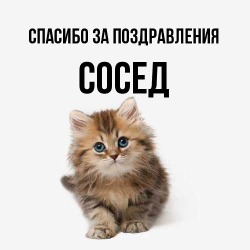 Картинка Спасибо за поздравления, Сосед