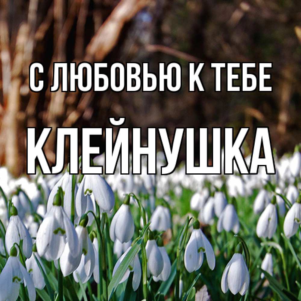 Открытка  с именем. Клейнушка, С любовью к тебе  