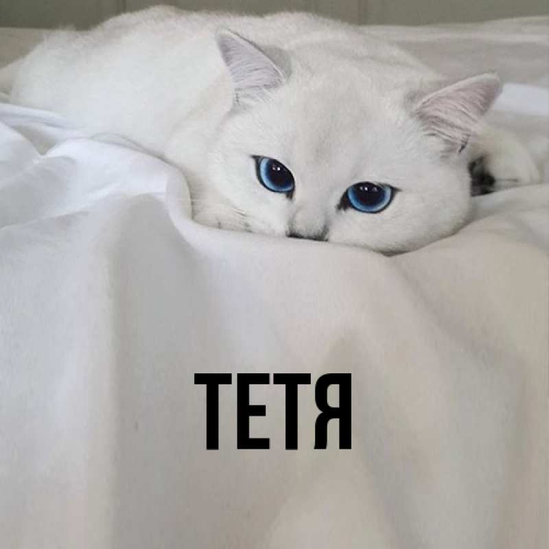 Картинка  с именем , Тетя