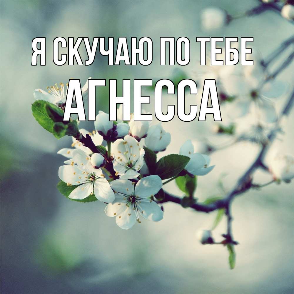 Открытка  с именем. Агнесса, Я скучаю по тебе  