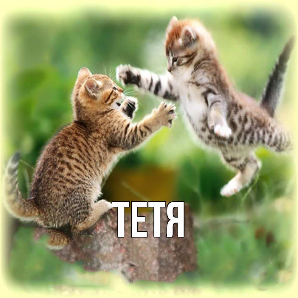 Открытка  с именем. Тетя, Главная  