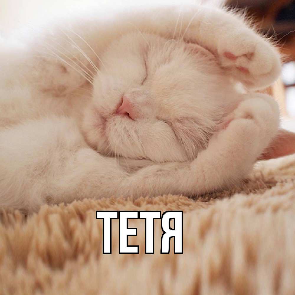Открытка  с именем. Тетя, Главная  
