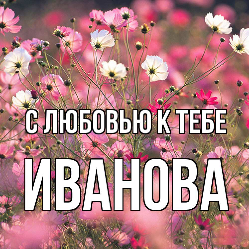 Открытка  с именем. Иванова, С любовью к тебе  