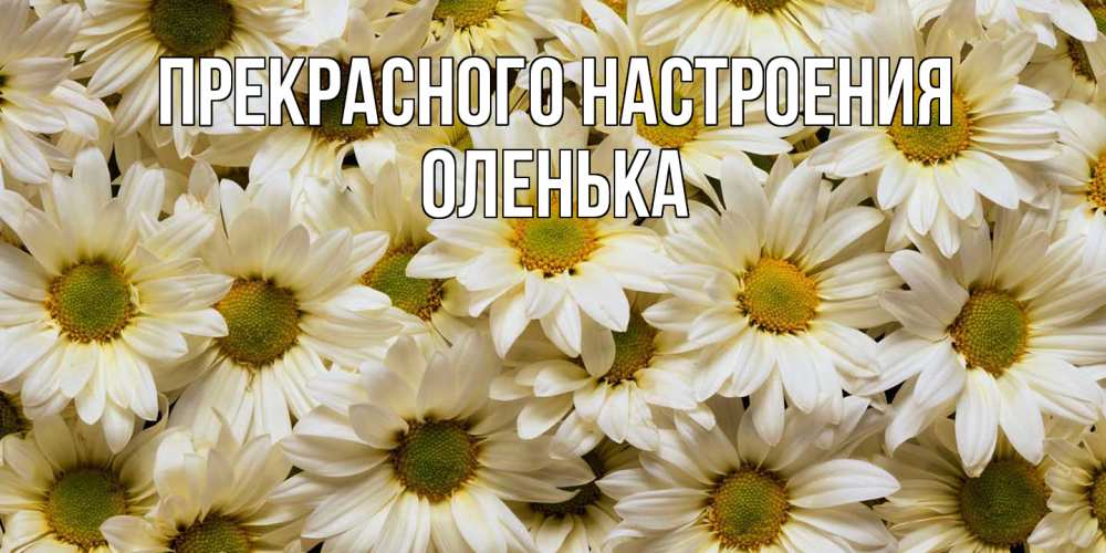 Открытка  с именем. Оленька, Прекрасного настроения  