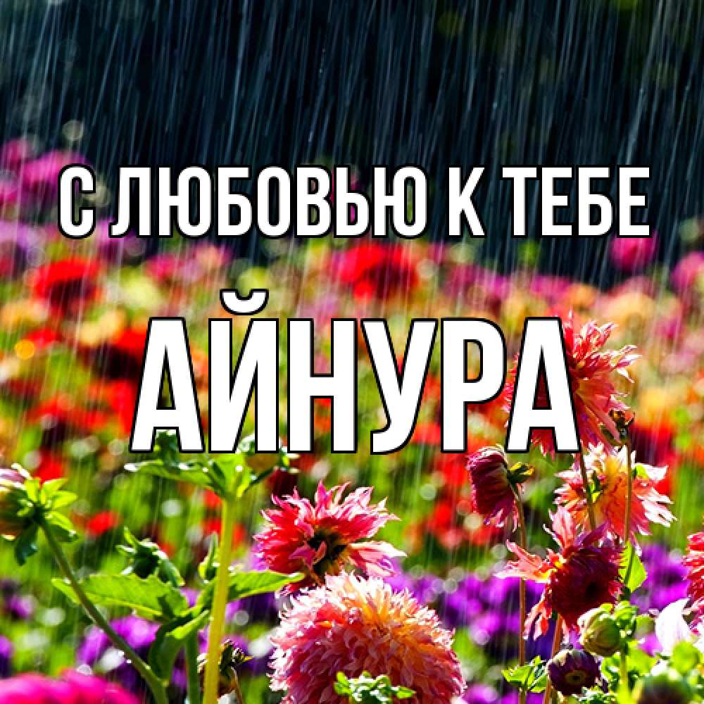 Открытка  с именем. Айнура, С любовью к тебе  