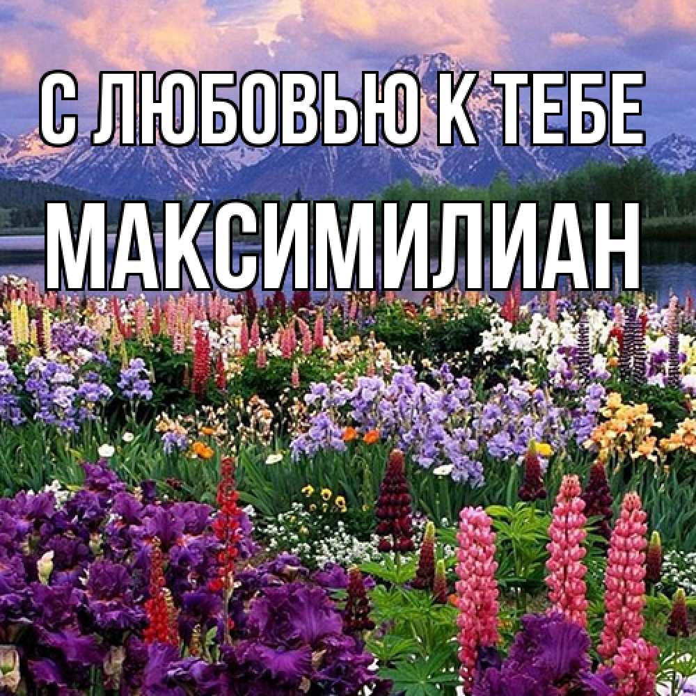 Открытка  с именем. Максимилиан, С любовью к тебе  