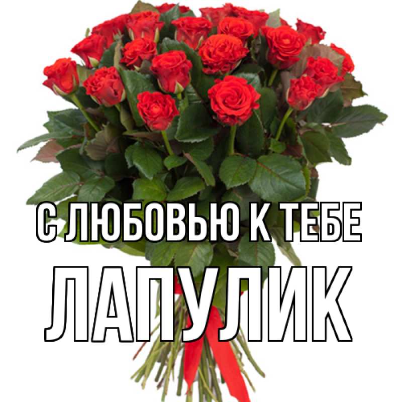 Картинка С любовью к тебе, Лапулик