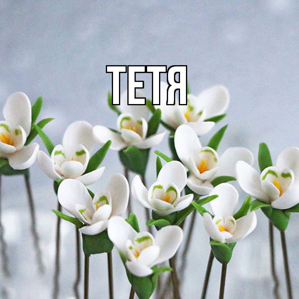 Открытка  с именем. Тетя, Главная  