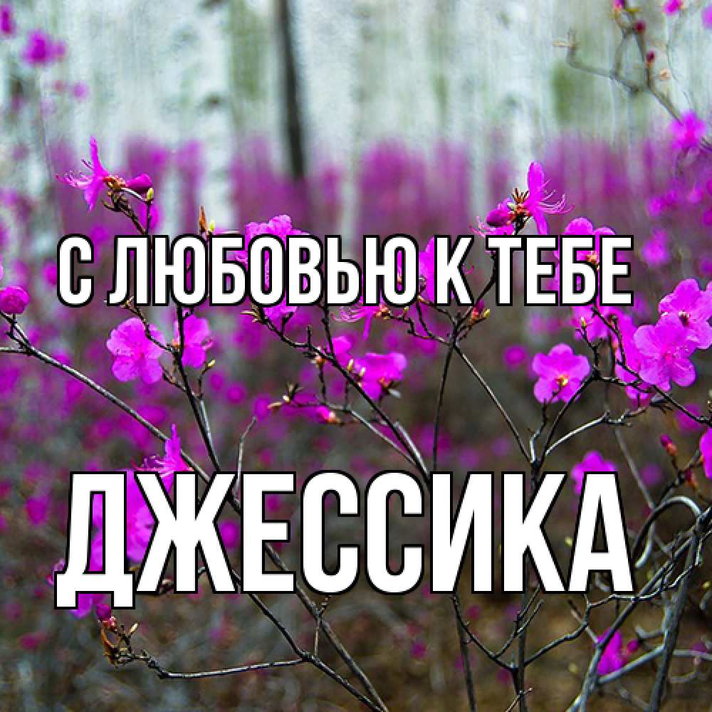 Открытка  с именем. Джессика, С любовью к тебе  