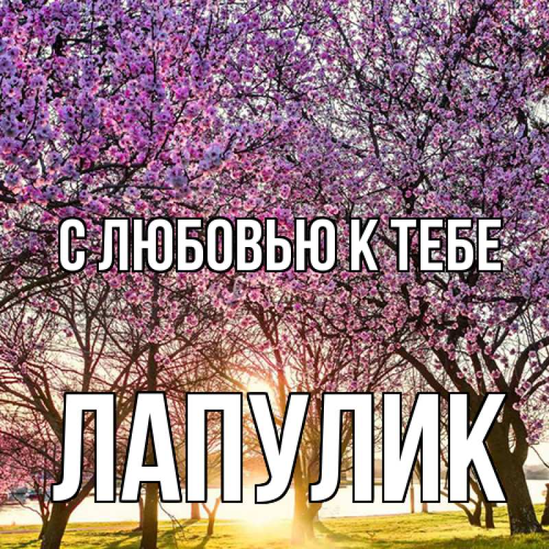 Картинка С любовью к тебе, Лапулик
