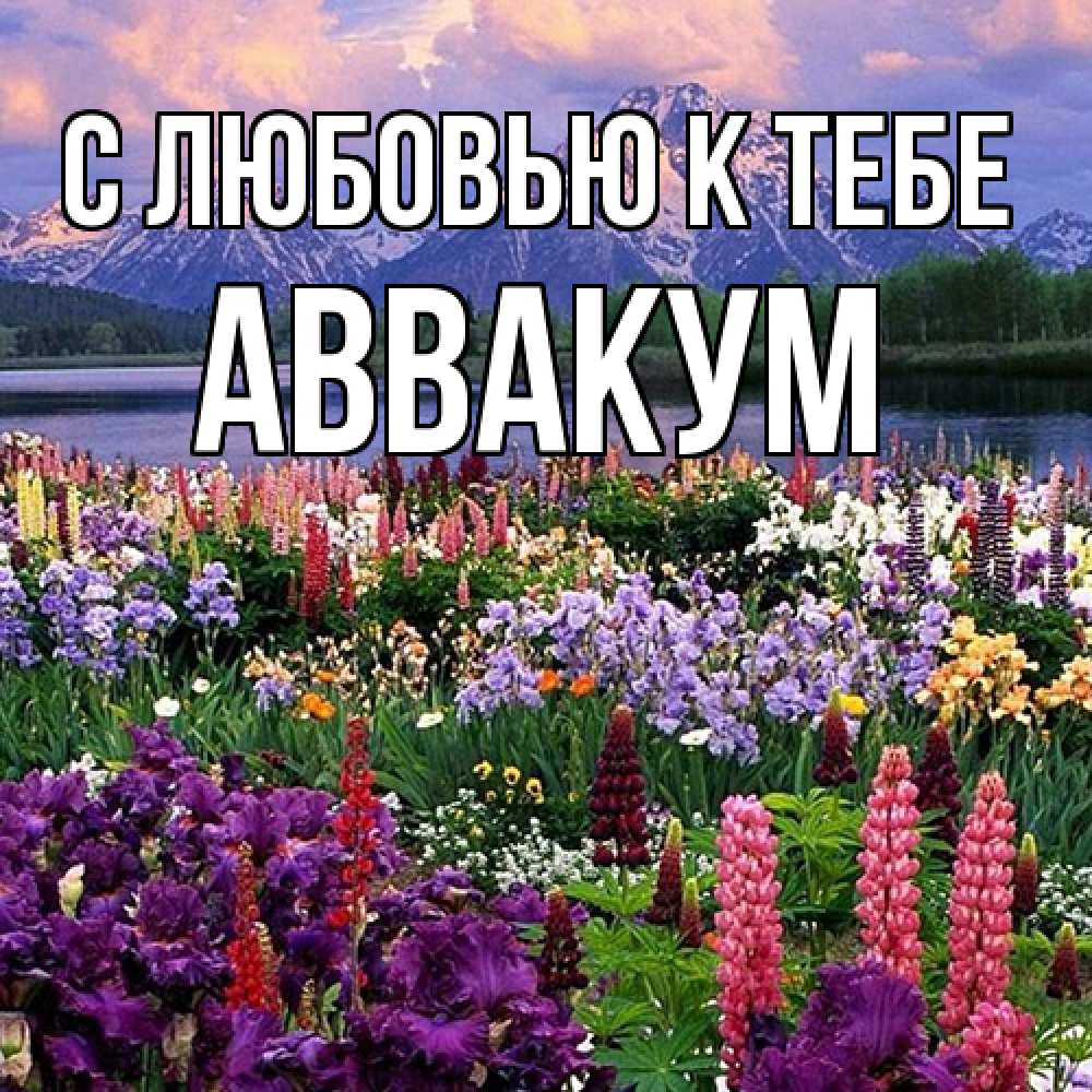 Открытка  с именем. Аввакум, С любовью к тебе  