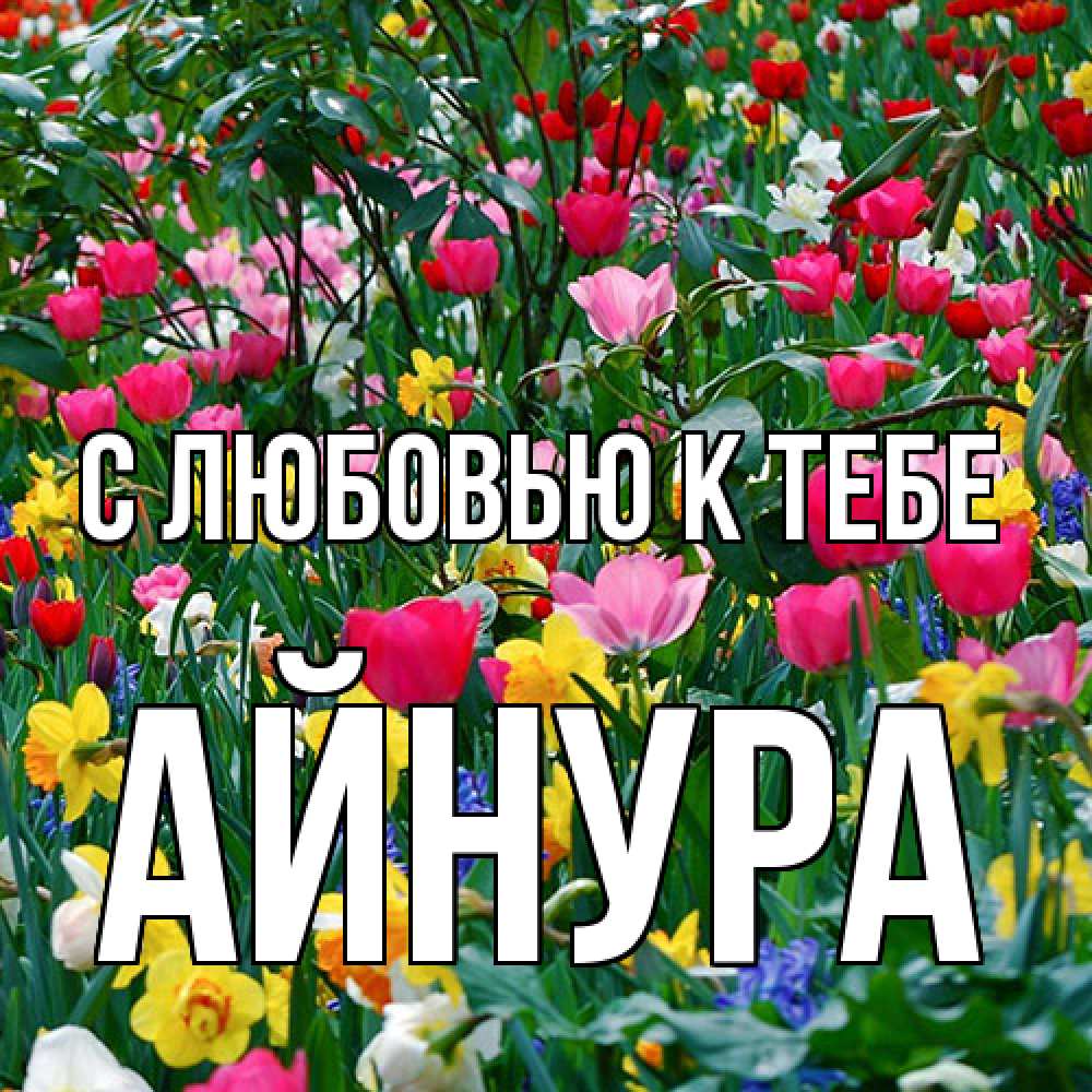 Открытка  с именем. Айнура, С любовью к тебе  