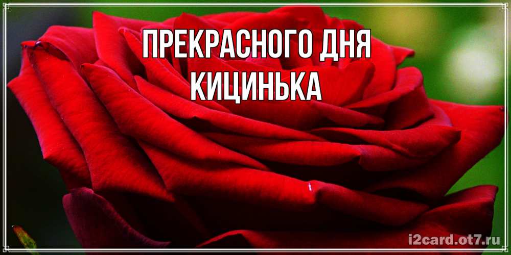 Открытка  с именем. Кицинька, Прекрасного дня  