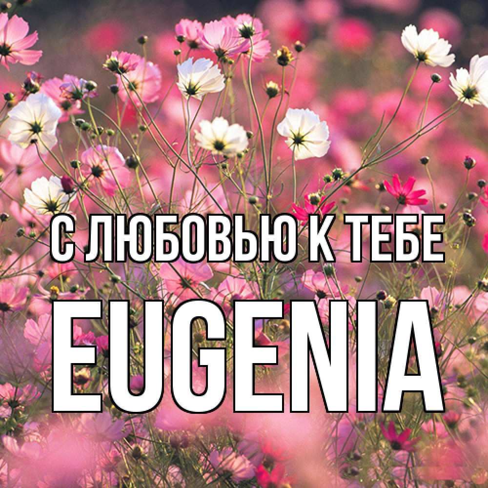 Открытка  с именем. eugenia, С любовью к тебе  