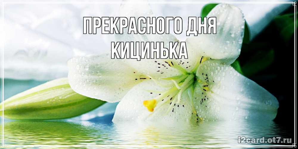 Открытка  с именем. Кицинька, Прекрасного дня  