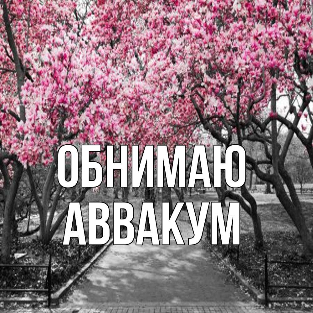 Открытка  с именем. Аввакум, Обнимаю  