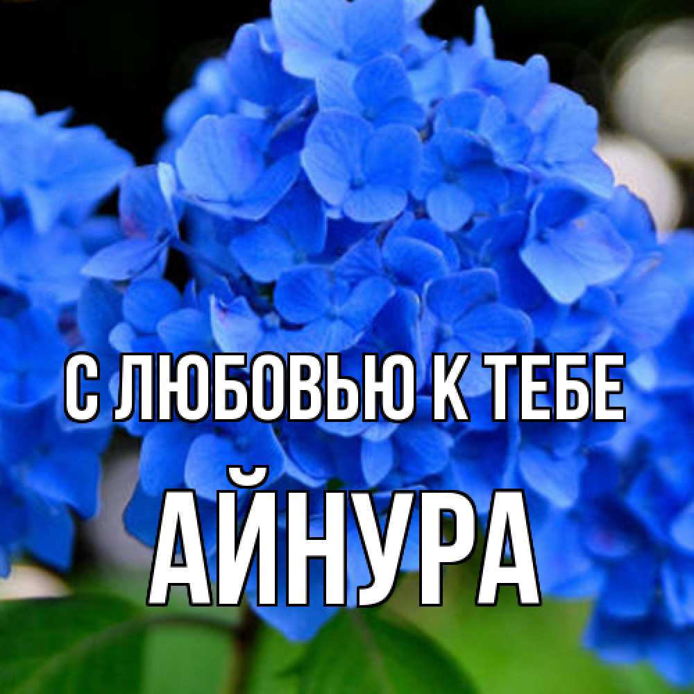 Открытка  с именем. Айнура, С любовью к тебе  