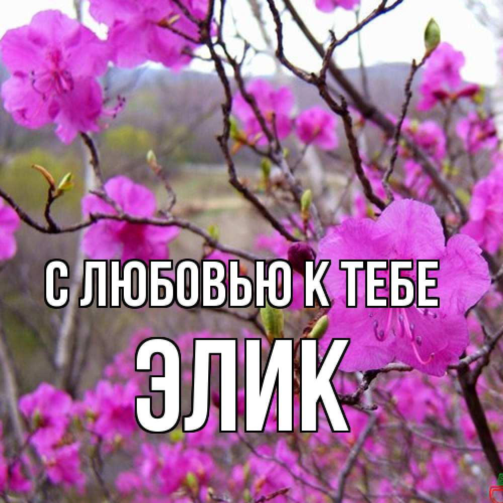 Открытка  с именем. Элик, С любовью к тебе  