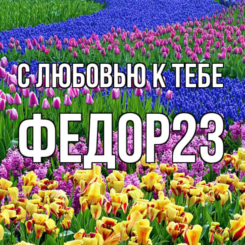 Картинка С любовью к тебе, Федор23