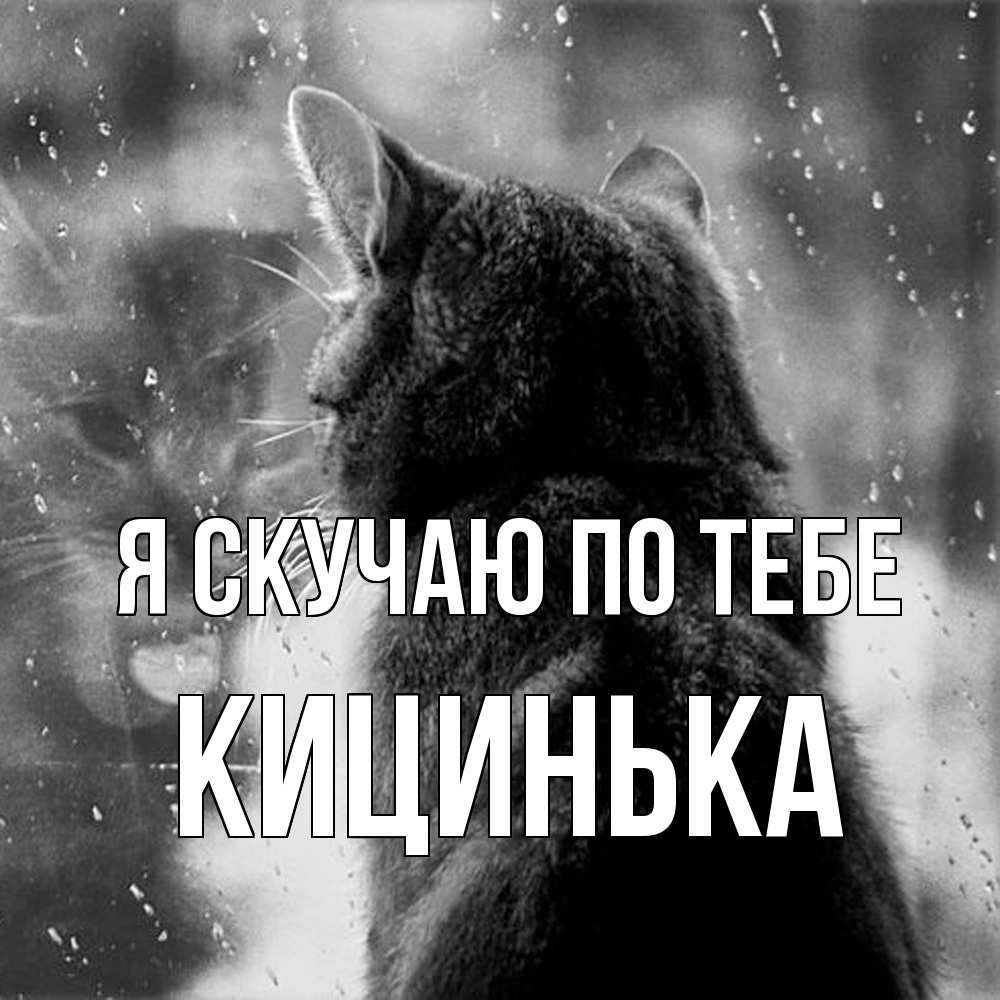Открытка  с именем. Кицинька, Я скучаю по тебе  