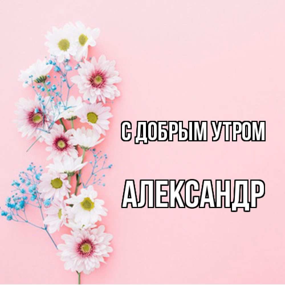 Открытка  с именем. александр, С добрым утром  