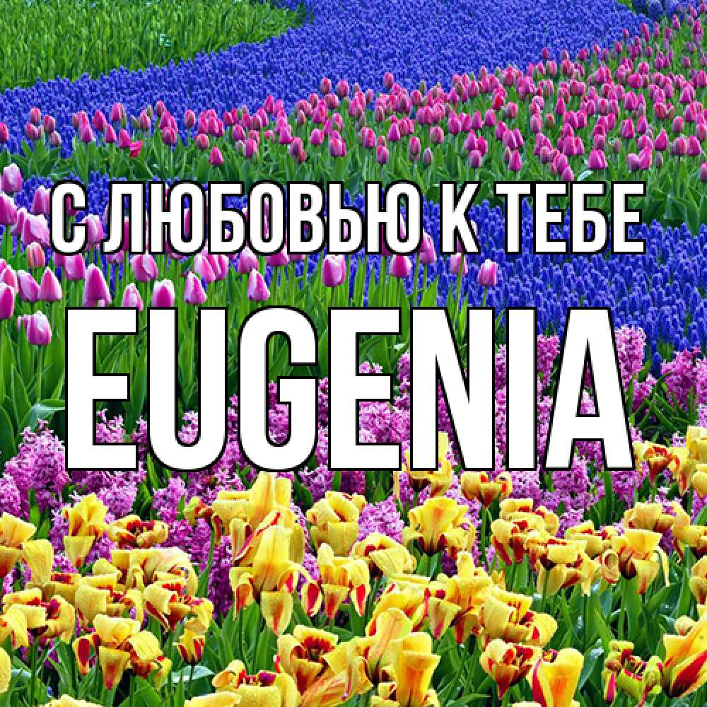 Открытка  с именем. eugenia, С любовью к тебе  