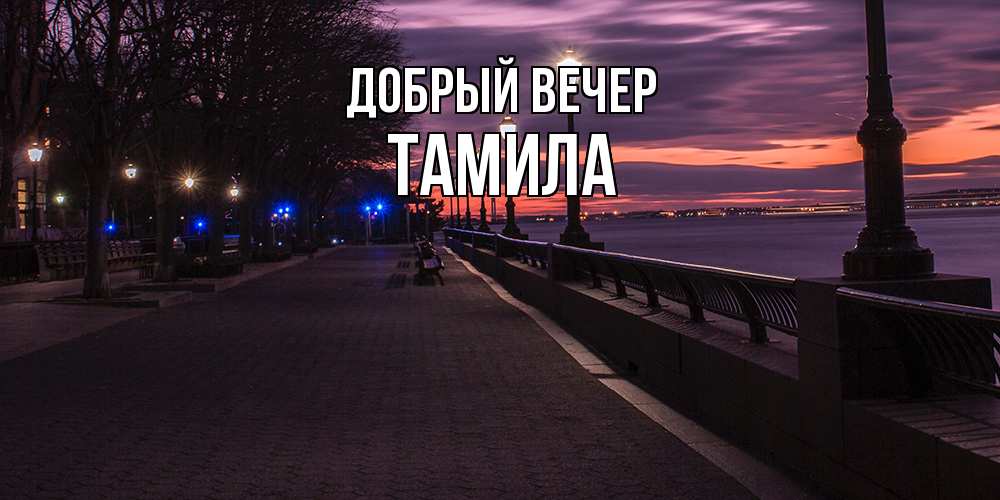 Открытка  с именем. Тамила, Добрый вечер  