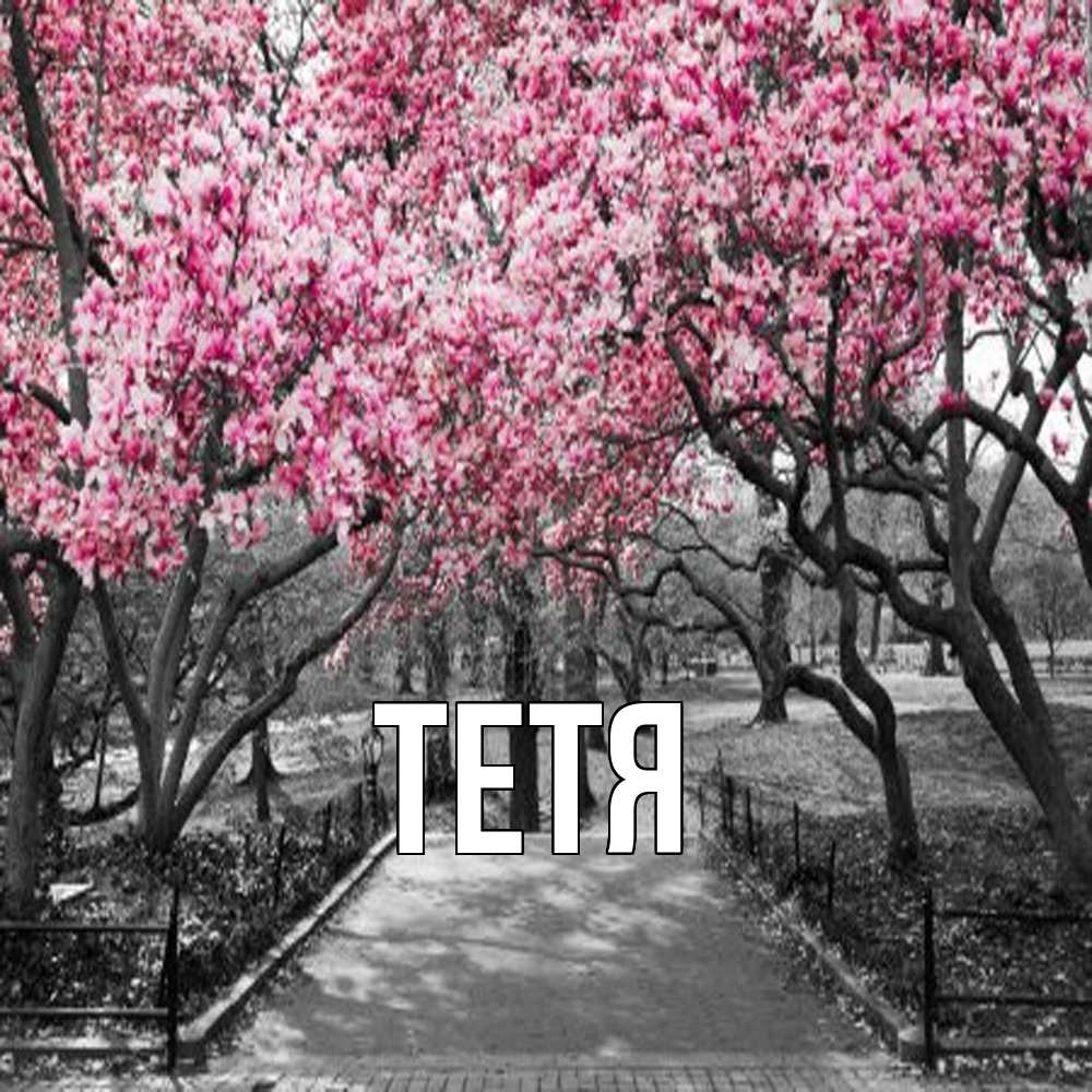 Открытка  с именем. Тетя, Главная  