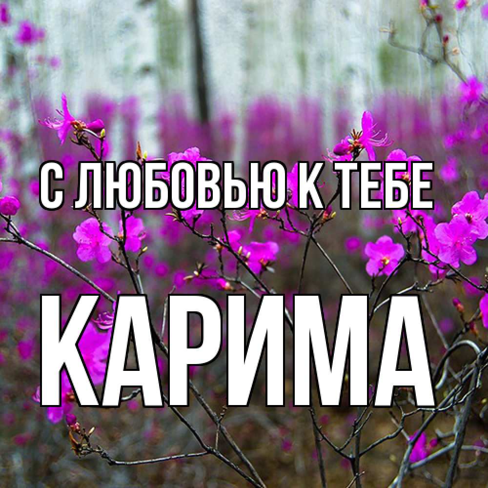 Открытка  с именем. Карима, С любовью к тебе  