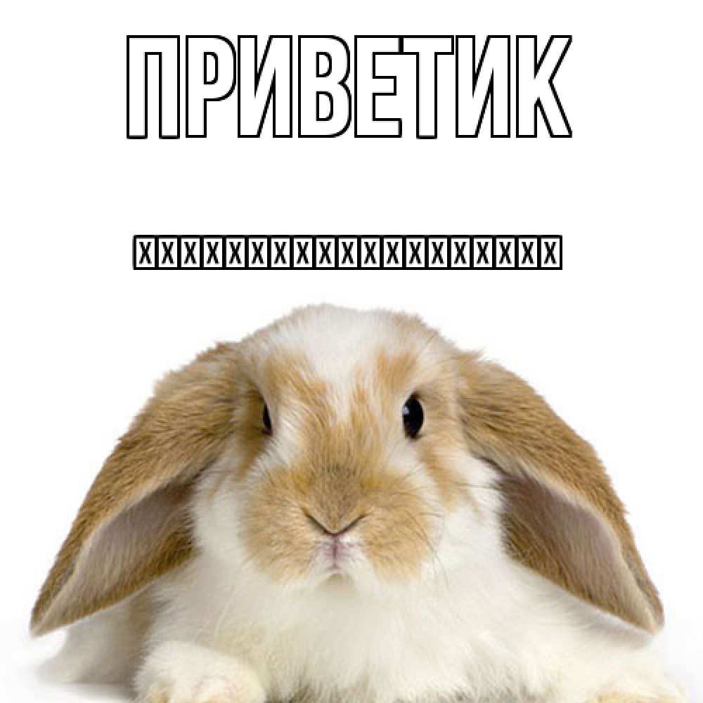 Открытка  с именем. їїїїїїїїїїїїїїїїїїї, приветик  