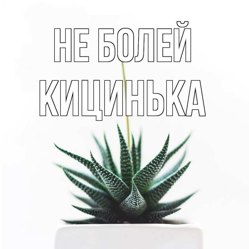 Картинка Не болей, Кицинька