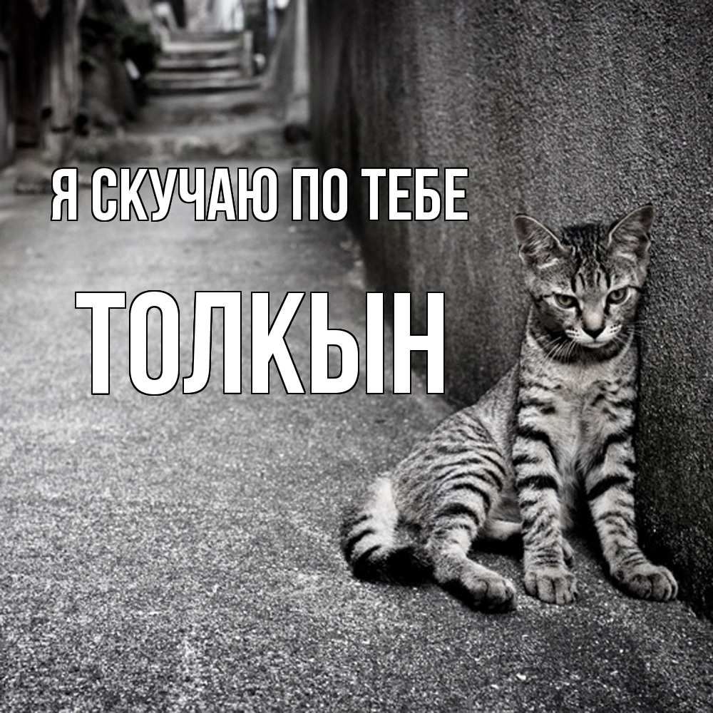 Открытка  с именем. Толкын, Я скучаю по тебе  