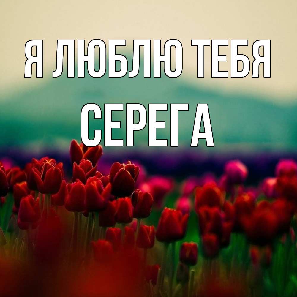 Открытка  с именем. Серега, Я люблю тебя  