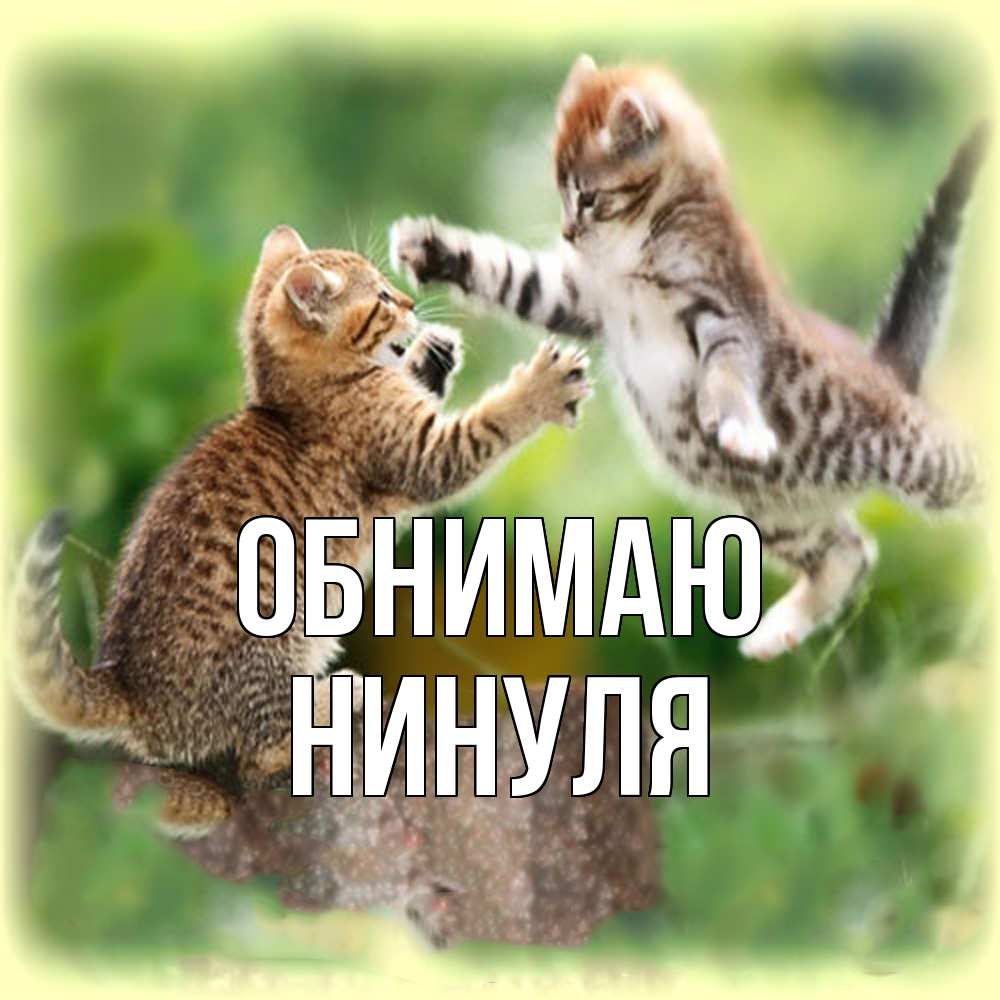 Открытка  с именем. нинуля, Обнимаю  